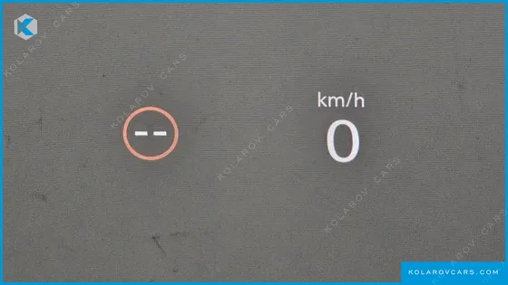 POLESTAR POLESTAR 4 LONG RANGE SINGLE MOTER