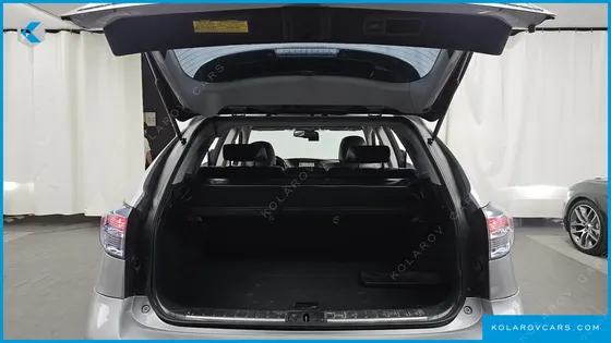 LEXUS RX STANDARD