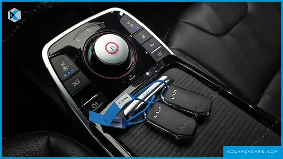 KIA NIRO EARTH