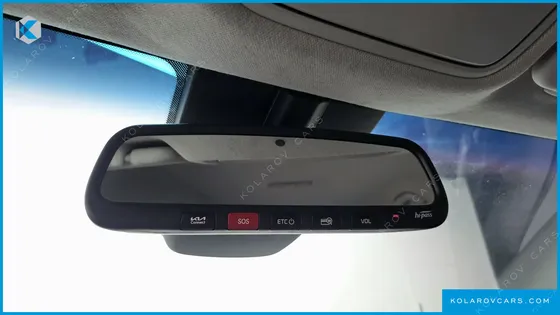 KIA NIRO EARTH