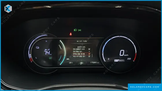 KIA NIRO EARTH