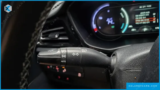 KIA NIRO EARTH