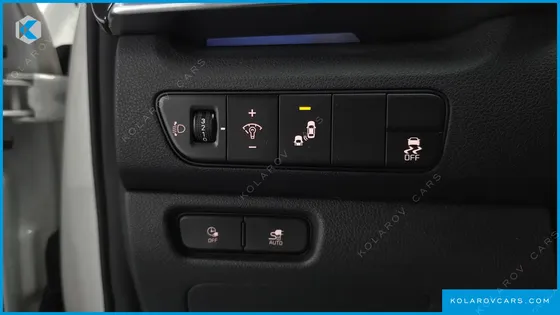 KIA NIRO EARTH