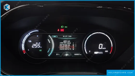 KIA NIRO EARTH