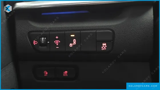 KIA NIRO EARTH