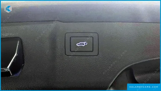HYUNDAI MAXCRUISE GAS 3.3 2WD
