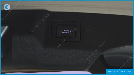 HYUNDAI MAXCRUISE DIESEL 2.2 2WD