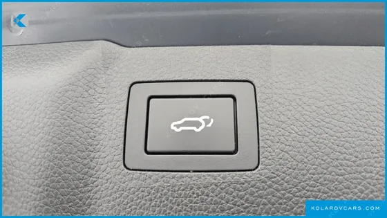HYUNDAI MAXCRUISE GAS 3.3 4WD