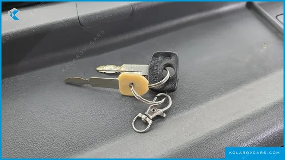 CHEVROLET (GM DAEWOO) RABO POWER GATE