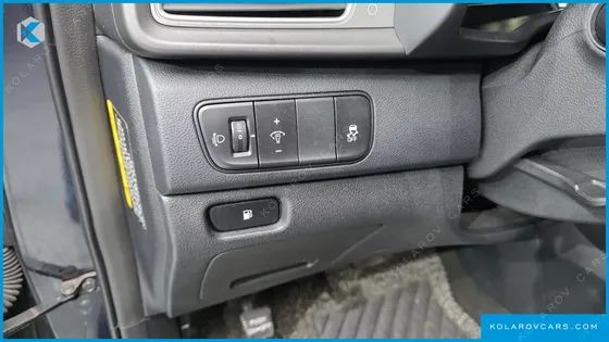 KIA NIRO LUXURY