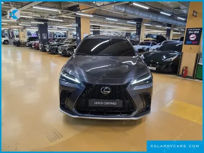 LEXUS NX F-SPORT