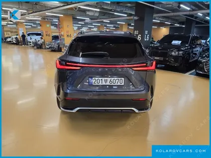 LEXUS NX F-SPORT