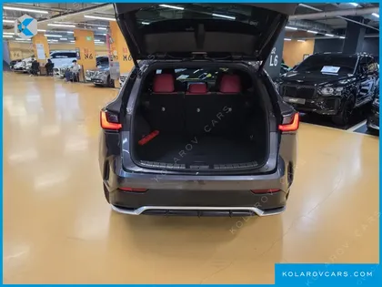 LEXUS NX F-SPORT