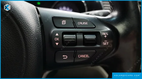KIA CARNIVAL 9-SEATER NOBLESSE