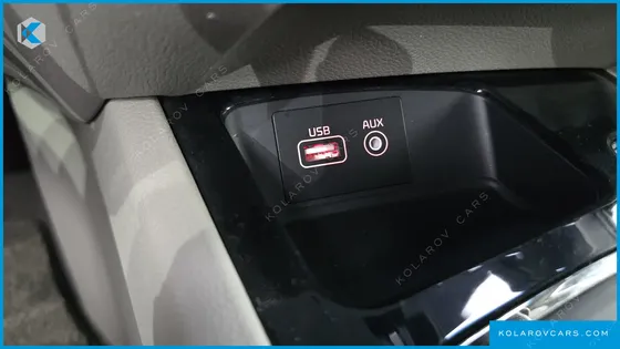 KIA CARNIVAL GASOLINE 7-SEATER LIMOUSINE