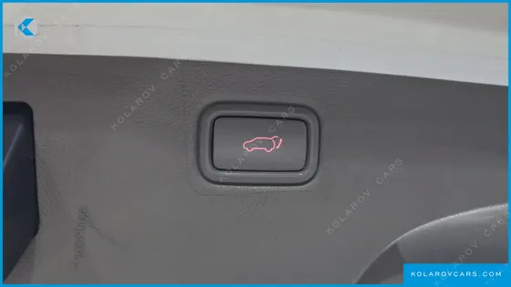 KIA CARNIVAL GASOLINE 7-SEATER LIMOUSINE