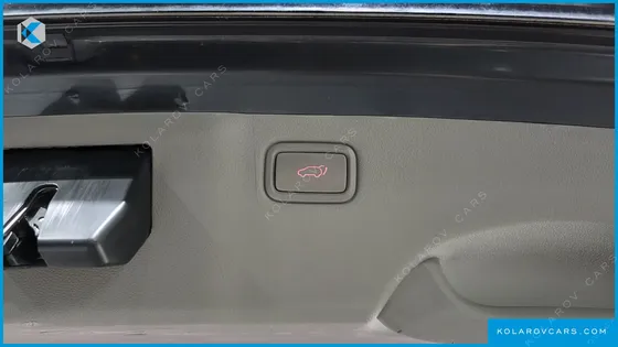 KIA CARNIVAL 11-SEATER NOBLESSE