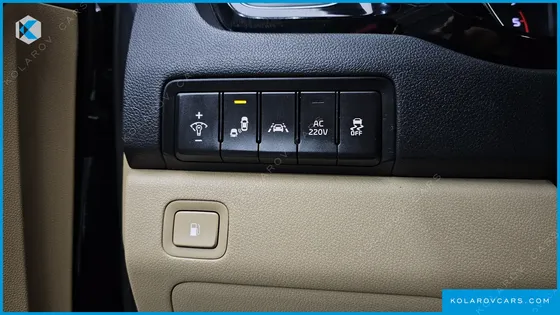 KIA CARNIVAL 9-SEATER NOBLESSE