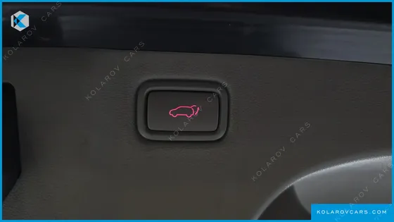KIA CARNIVAL 9-SEATER PRESTIGE