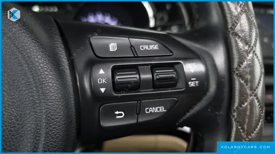 KIA CARNIVAL 9-SEATER NOBLESSE