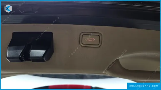 KIA CARNIVAL 9-SEATER NOBLESSE