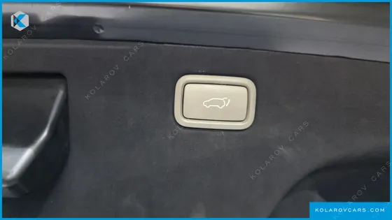 KIA CARNIVAL 9-SEATER HI-LIMOUSINE