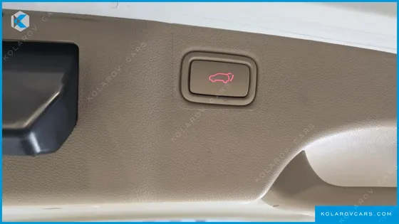 KIA CARNIVAL 9-SEATER NOBLESSE