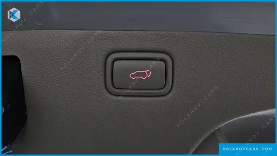 KIA CARNIVAL 9-SEATER PRESTIGE