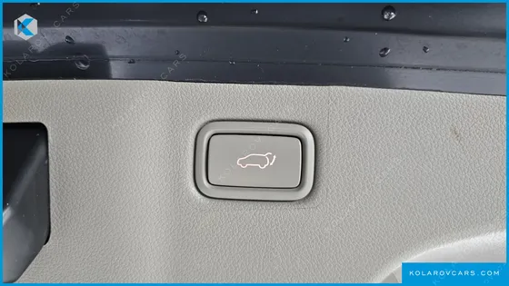 KIA CARNIVAL 9-SEATER NOBLESSE