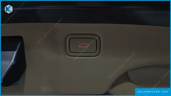 KIA CARNIVAL 9-SEATER NOBLESSE