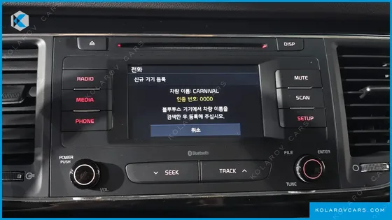 KIA CARNIVAL 7-SEATER LIMOUSINE