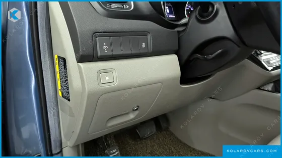 KIA CARNIVAL 9-SEATER LUXURY