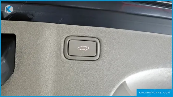 KIA CARNIVAL GASOLINE 9-SEATER NOBLESSE