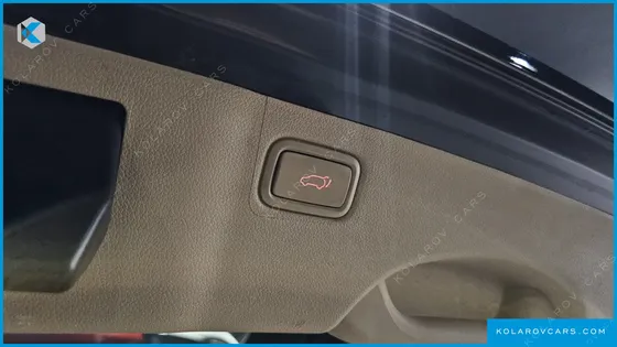 KIA CARNIVAL 9-SEATER HI-LIMOUSINE