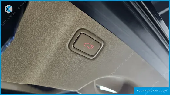 KIA CARNIVAL 9-SEATER HI-LIMOUSINE