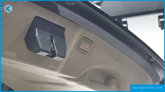 KIA CARNIVAL 9-SEATER HI-LIMOUSINE