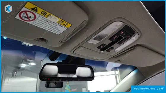 KIA CARNIVAL GASOLINE 7-SEATER LIMOUSINE
