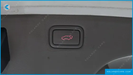 KIA CARNIVAL 9-SEATER NOBLESSE SPECIAL