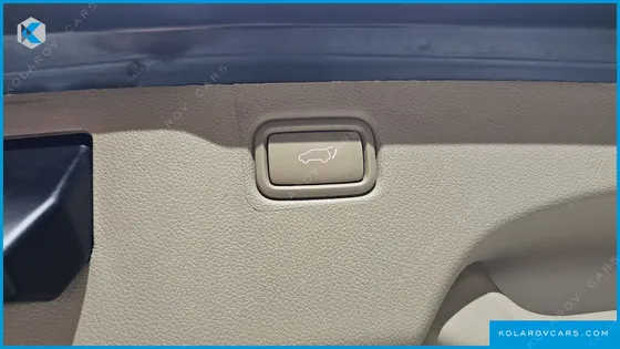 KIA CARNIVAL 9-SEATER HI-LIMOUSINE