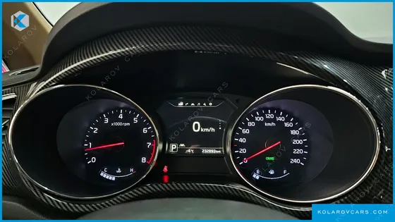 KIA CARNIVAL GASOLINE 9-SEATER HI-LIMOUSINE