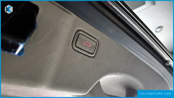 KIA CARNIVAL GASOLINE 7-SEATER LIMOUSINE