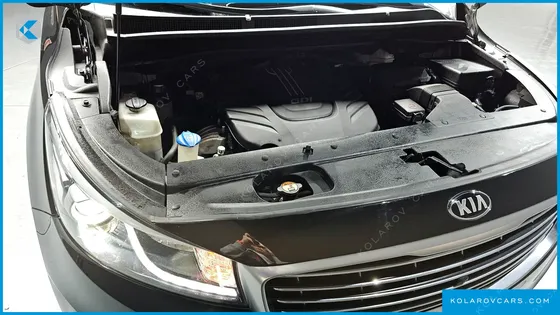 KIA CARNIVAL GASOLINE 7-SEATER HI-LIMOUSINE