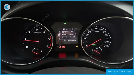 KIA CARNIVAL 9-SEATER LUXURY