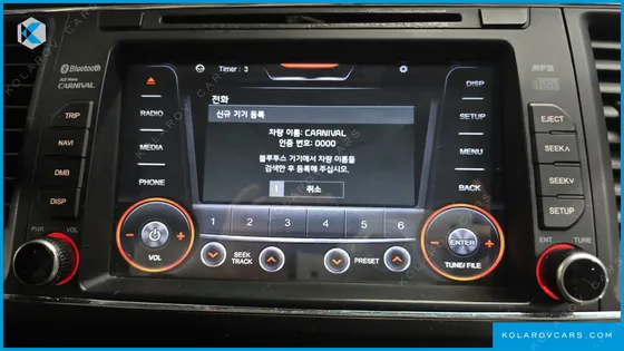 KIA CARNIVAL 9-SEATER LUXURY