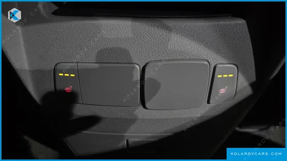 KIA CARNIVAL 9-SEATER LUXURY
