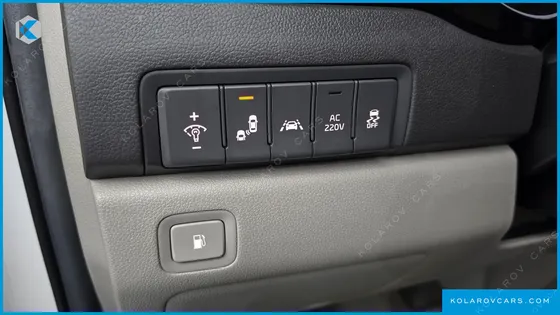 KIA CARNIVAL 9-SEATER NOBLESSE SPECIAL