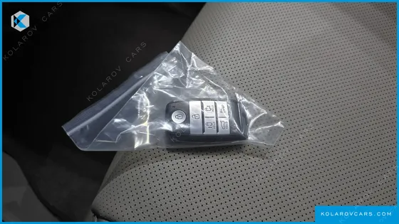 KIA CARNIVAL 9-SEATER PRESTIGE