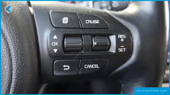 KIA CARNIVAL GASOLINE 7-SEATER LIMOUSINE