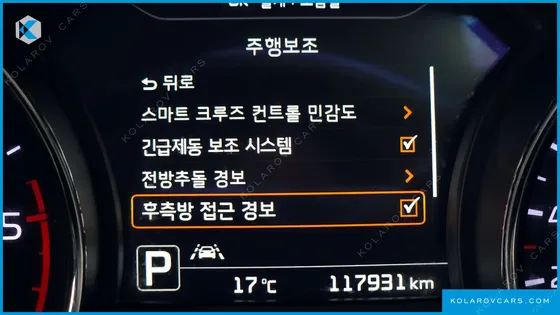 KIA CARNIVAL 9-SEATER NOBLESSE SPECIAL