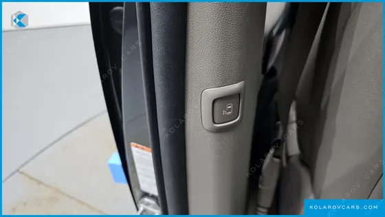 KIA CARNIVAL 9-SEATER LUXURY